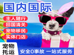地窝堡空运代理国际宠物托运 【国